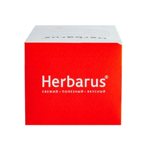 Чай HERBARUS &quot;Имбирная Энергия&quot; травяной, 24 пакетика в конвертах по 2 г
