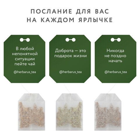 Чай HERBARUS "Secret Holiday" ассорти 4 вкуса, 24 пакетика в конвертах