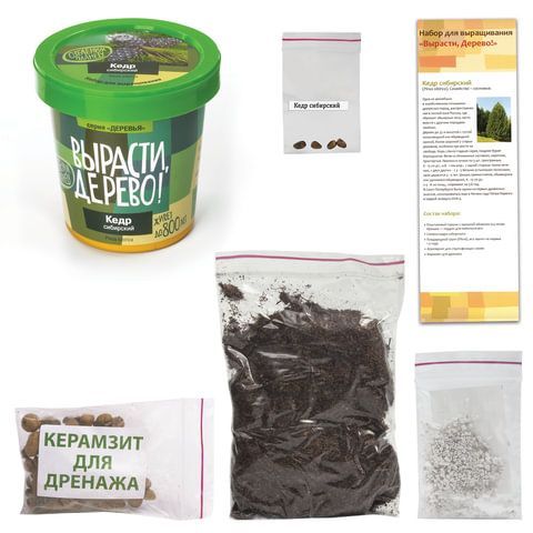 Набор для выращивания растений ВЫРАСТИ ДЕРЕВО! &quot;Кедр Сибирский&quot; (банка, грунт, семена), zk-001