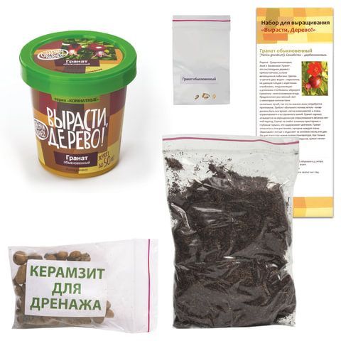 Набор для выращивания растений ВЫРАСТИ ДЕРЕВО! &quot;Гранат обыкновенный&quot; (банка, грунт, семена), zk-014