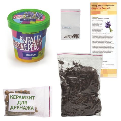 Набор для выращивания растений ВЫРАСТИ ДЕРЕВО! &quot;Лаванда&quot; (банка, грунт, семена), zk-030