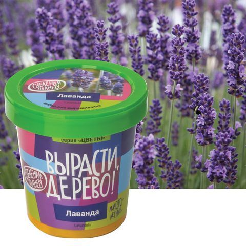 Набор для выращивания растений ВЫРАСТИ ДЕРЕВО! &quot;Лаванда&quot; (банка, грунт, семена), zk-030