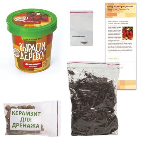 Набор для выращивания растений ВЫРАСТИ ДЕРЕВО! &quot;Земляника ананасная&quot; (банка, грунт, семена), zk-038