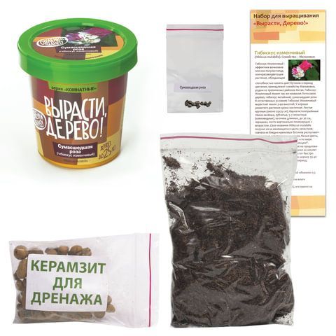 Набор для выращивания растений ВЫРАСТИ ДЕРЕВО! &quot;Сумасшедшая роза&quot; (банка, грунт, семена), zk-047