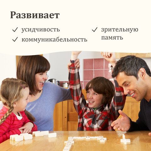Игра настольная &quot;ДОМИНО&quot;, пластиковый кейс, 17х10 см, ЗОЛОТАЯ СКАЗКА, 662296