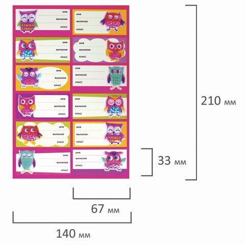 Наклейки для маркировки школьных принадлежностей &quot;Совы&quot;, 12 штук, 14х21 см, ЮНЛАНДИЯ, 662710