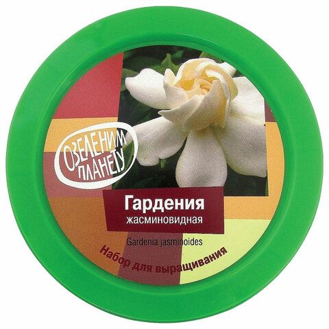 Набор для выращивания растений ВЫРАСТИ ДЕРЕВО! &quot;Гардения&quot; (банка, грунт, семена), zk-044