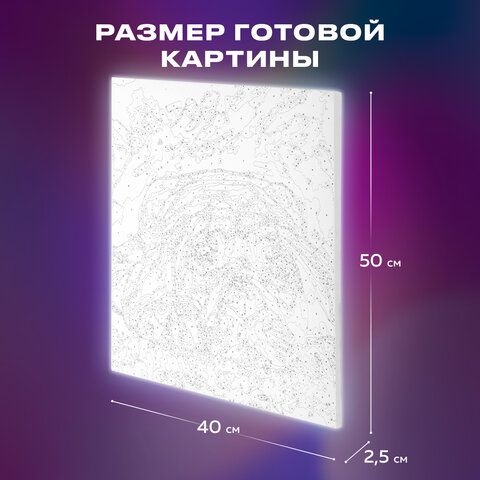 Картина по номерам 40х50 см, ОСТРОВ СОКРОВИЩ &quot;Мечтай!&quot;, на подрамнике, акрил, кисти, 662904