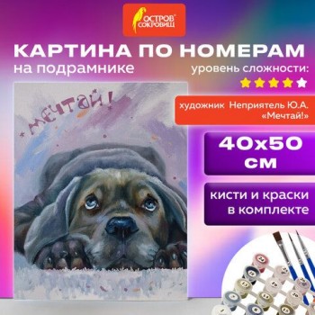 Картина по номерам 40х50 см, ОСТРОВ СОКРОВИЩ "Мечтай!", на подрамнике, акрил, кисти, 662904