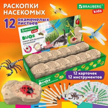 РЕЗЕРВ Набор для раскопок 2