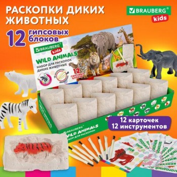 РЕЗЕРВ Набор для раскопок 3