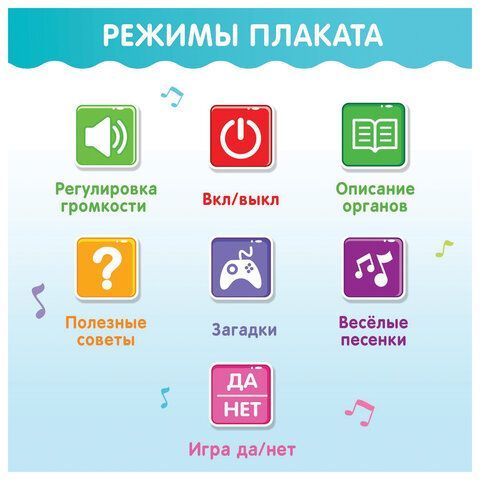 Плакат детский музыкальный обучающий &quot;Изучаем анатомию: Моё тело&quot;, ZABIAKA, 5148294