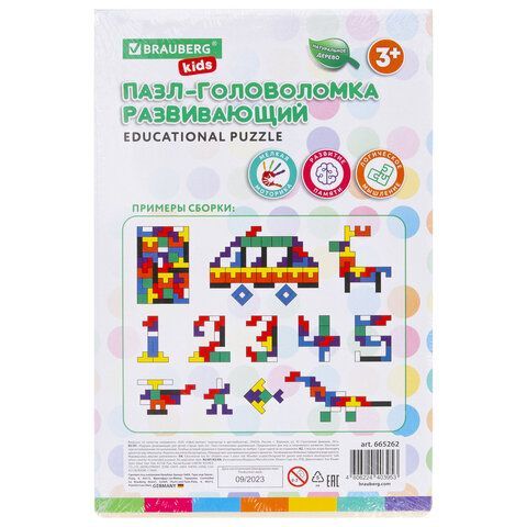 Головоломка развивающая деревянная &quot;Тетрис&quot;, цветной, 18х27 см, BRAUBERG KIDS, 665262