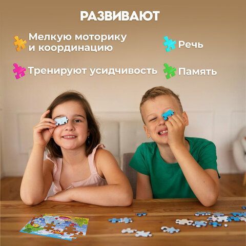 Пазлы картонные 24/ 35 эл. &quot;МАЛЬЧИКАМ&quot;, КОМПЛЕКТ 16 шт. РЫЖИЙ КОТ