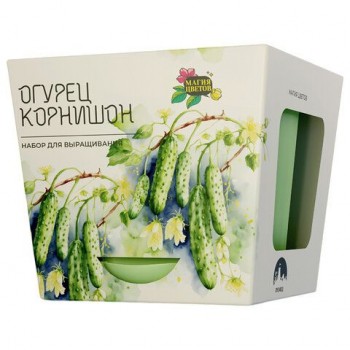 Набор для выращивания растений МАГИЯ ЦВЕТОВ, "Огурец корнишон", (горшок, грунт, семен, mf-021