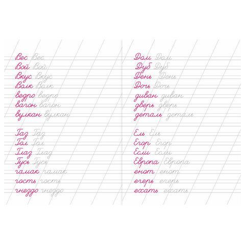 Прописи детские по ФГОС, А5, 16 стр., 14х20 см, АССОРТИ, ЛиС