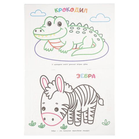 Книжка - раскраска с цветным контуром, ПЕРВАЯ РАСКРАСКА, ассорти, 210х290 мм, 16 стр., УМКА 18 шт.