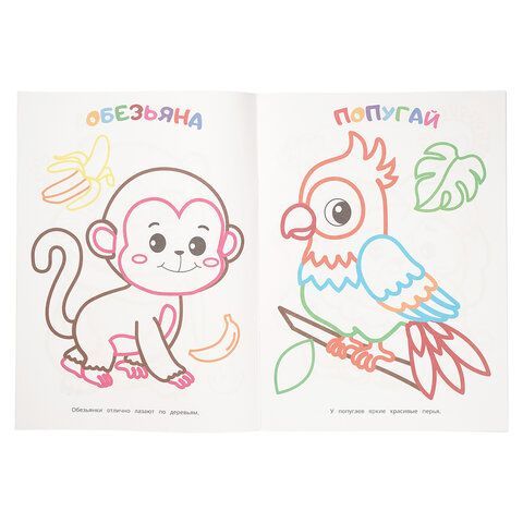 Книжка - раскраска с цветным контуром, ПЕРВАЯ РАСКРАСКА, ассорти, 210х290 мм, 16 стр., УМКА 18 шт.