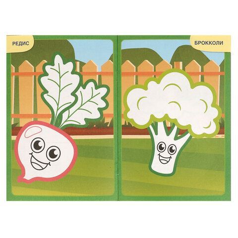Книжка-раскраска с цветным контуром, ДЛЯ МАЛЫШЕЙ 2-3 лет, ассорти, 145х210мм, 16 стр., УМКА 40 шт.