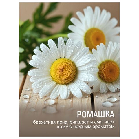 Мыло-крем туалетное 90г ЛЕСНАЯ ПОЛЯНКА "Ромашка", натуральная основа, ш/к 94899, 1100-2