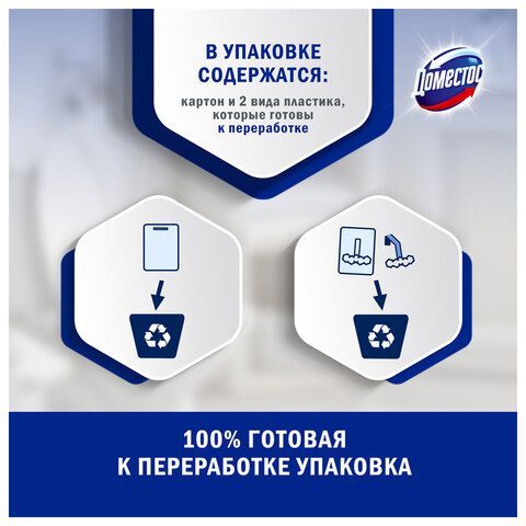 Блок туалетный подвесной твердый 2х55г ДОМЕСТОС Сила 5в1 "Ледяная магнолия", ш/к 8763