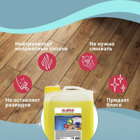 Средство для мытья пола 5 кг ЛАЙМА PROFESSIONAL концентрат, &quot;Лимон&quot;, 880281