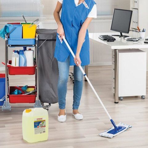 Чистящее средство 5 кг ЛАЙМА PROFESSIONAL &quot;Лимон&quot;, дезинфицирующий и отбеливающий эффект, 880289