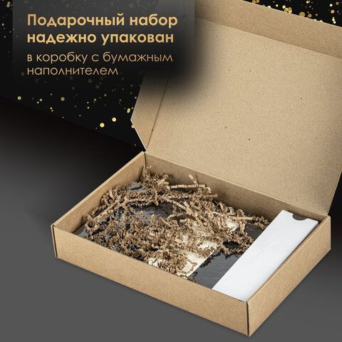 Ручка перьевая PARKER &quot;IM Achromatic Black BT&quot;, ежедневник А5 черный, пакет, 880901