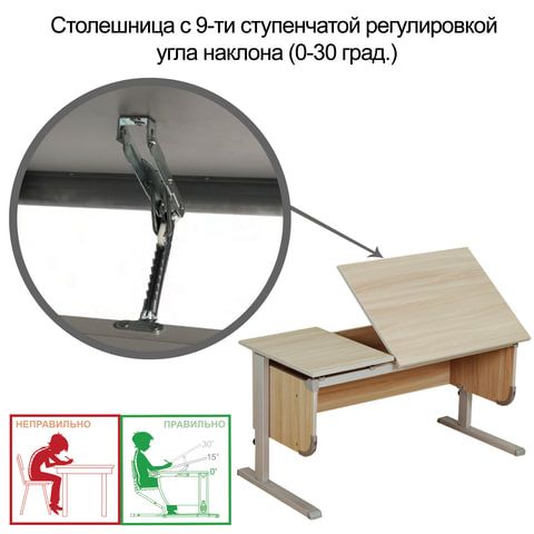 Стол-парта регулируемый &quot;ДЭМИ&quot; СУТ.29, 1117х530х530-815 мм, серый/ясень (КОМПЛЕКТ)